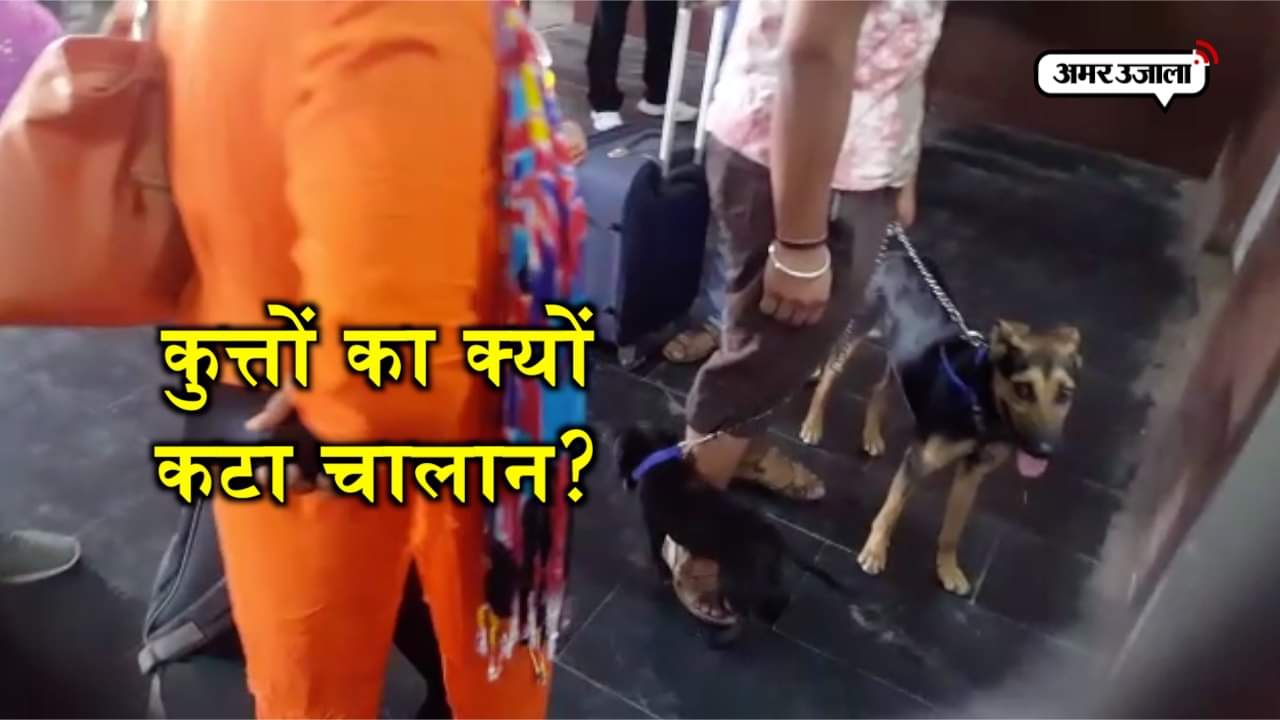 कुत्तों का चालान