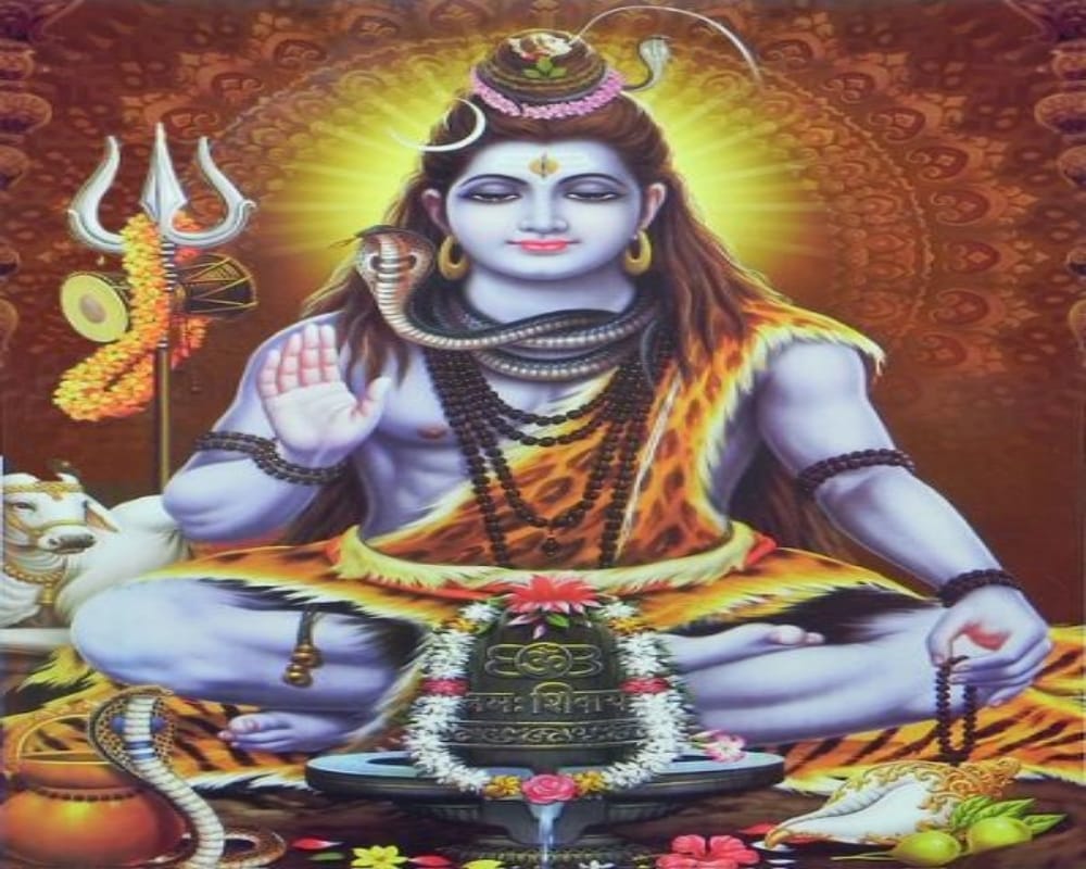 know about bradheswar shiv mandir