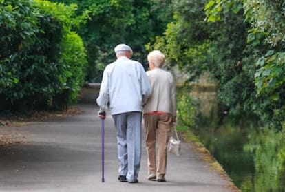 after 14 years of harassment by children elder couple gets relief by a court order read full story 