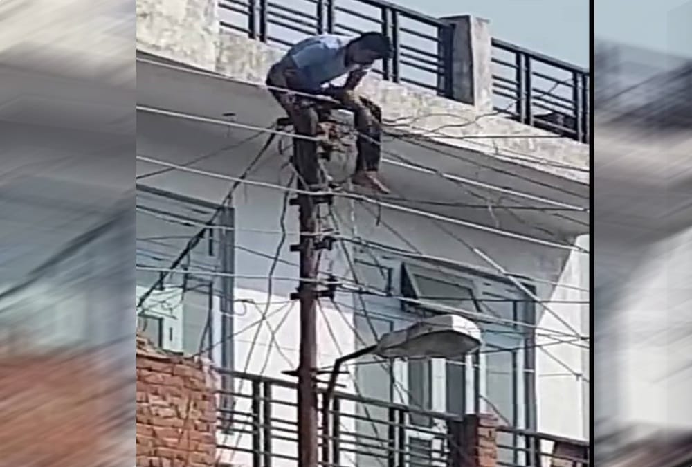 youth tried to suicide on electricity pole in haldwani