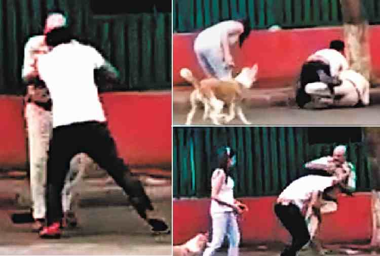 policeman beaten by boy on road in chandigarh sector 22, near kiran cinema