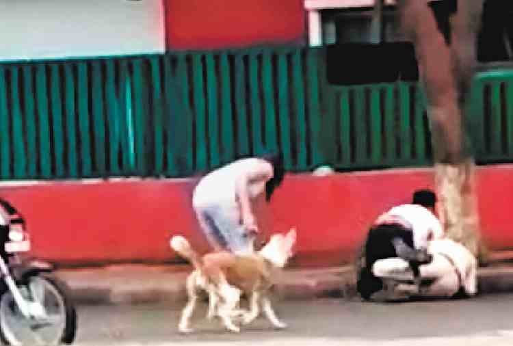 policeman beaten by boy on road in chandigarh sector 22, near kiran cinema