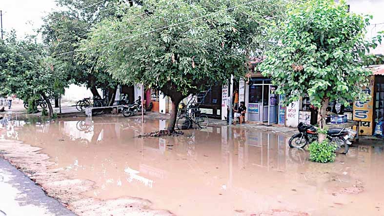 rain fall swar, bilaspur and maswasi