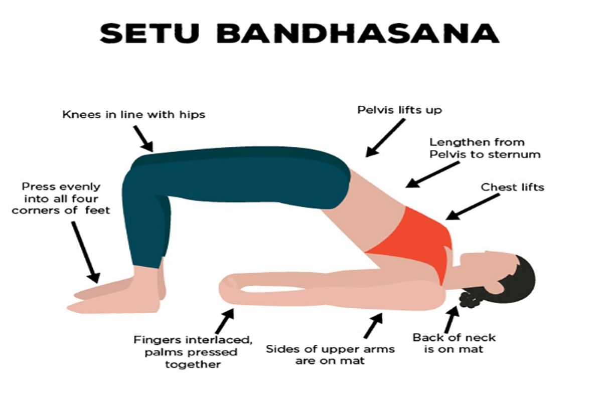 Bridge pose - Setu Bandha Sarvangasana - GaneshaSpeaks