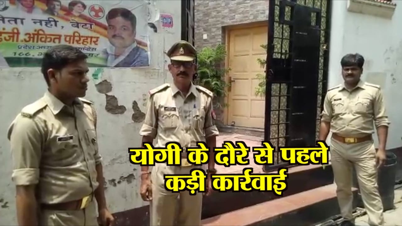 yogi 