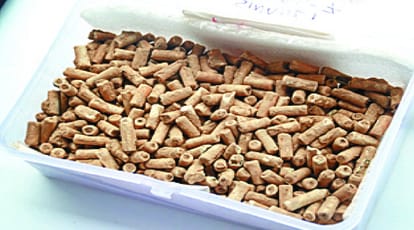 Baghpat: In the Sinauli culture 3800 years ago, urad dal was the choice of people