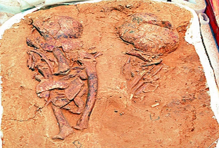 Headlines of Sinuali, 4000 years old civilization emerged, see photos