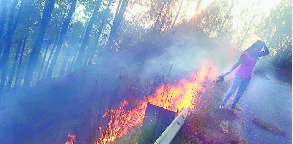 Fire in Kalimath forest