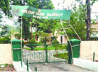 Army Dairy farm to shut down from July