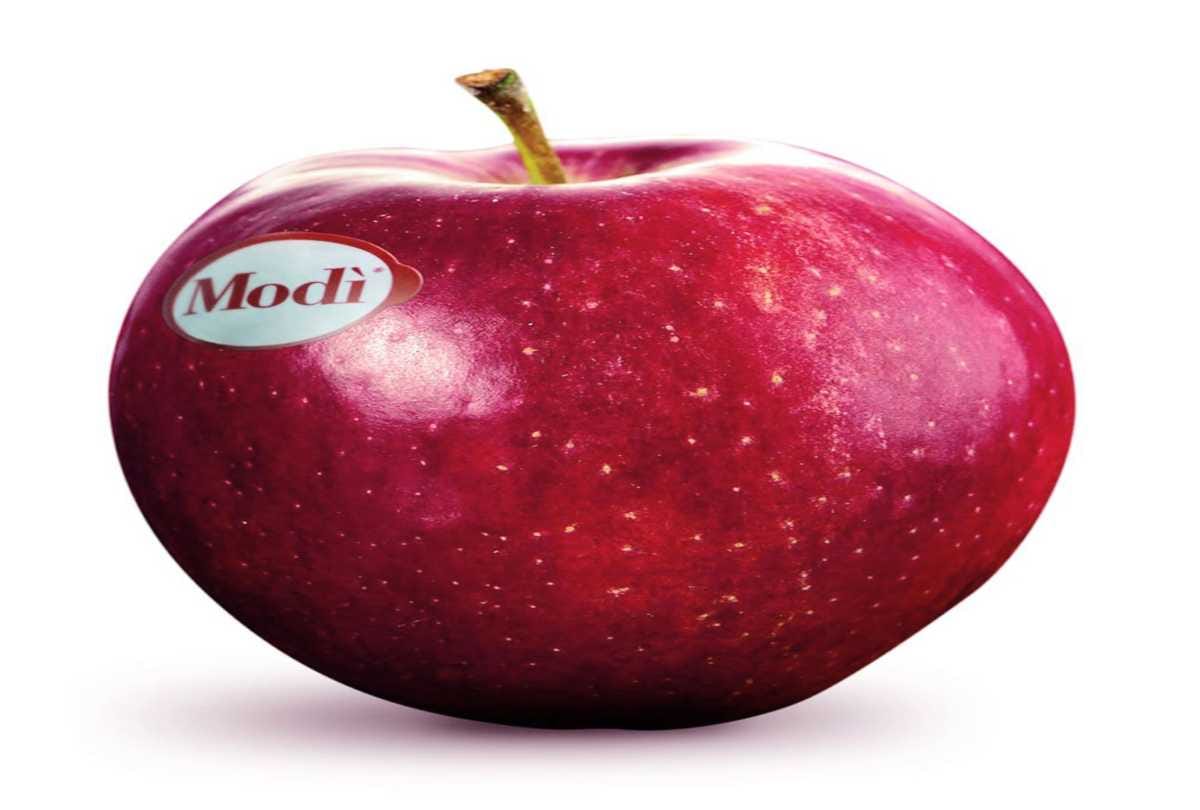 gardeners of himachal betrayed in the name of 'Modi apple'