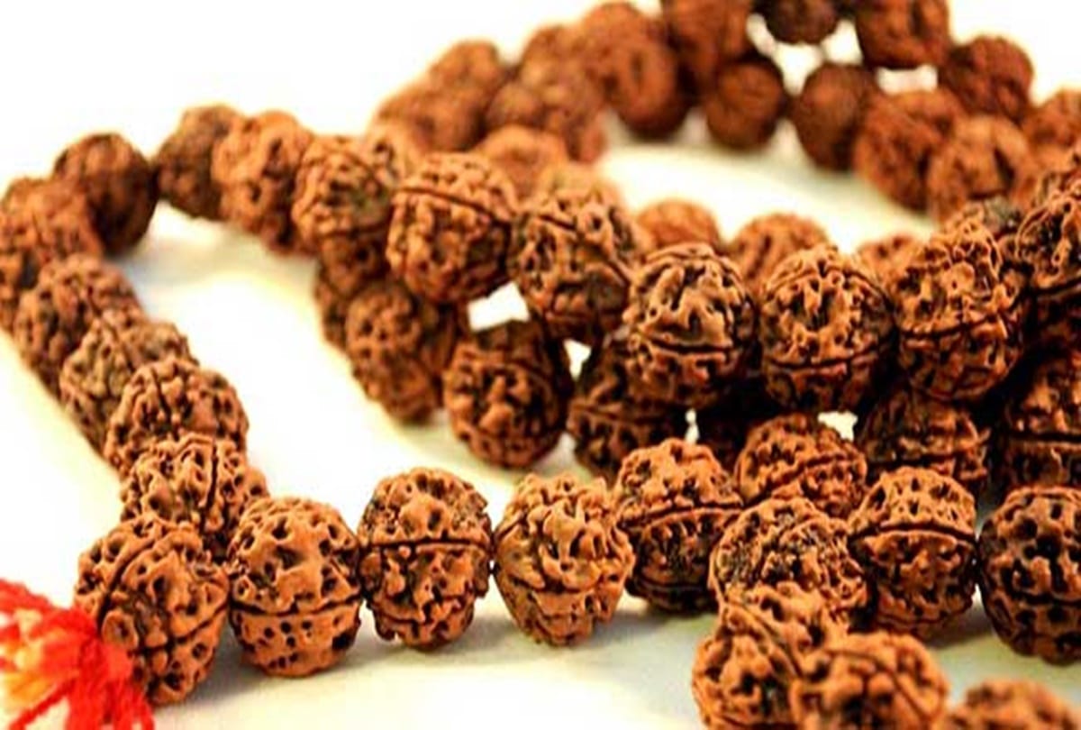 Rudraksha mala wearing rules and benefits in hindi