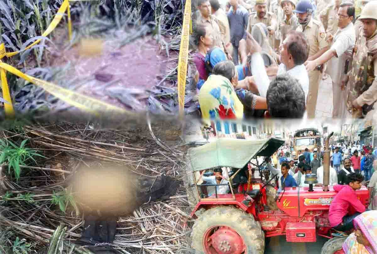  boy's skull found in fields