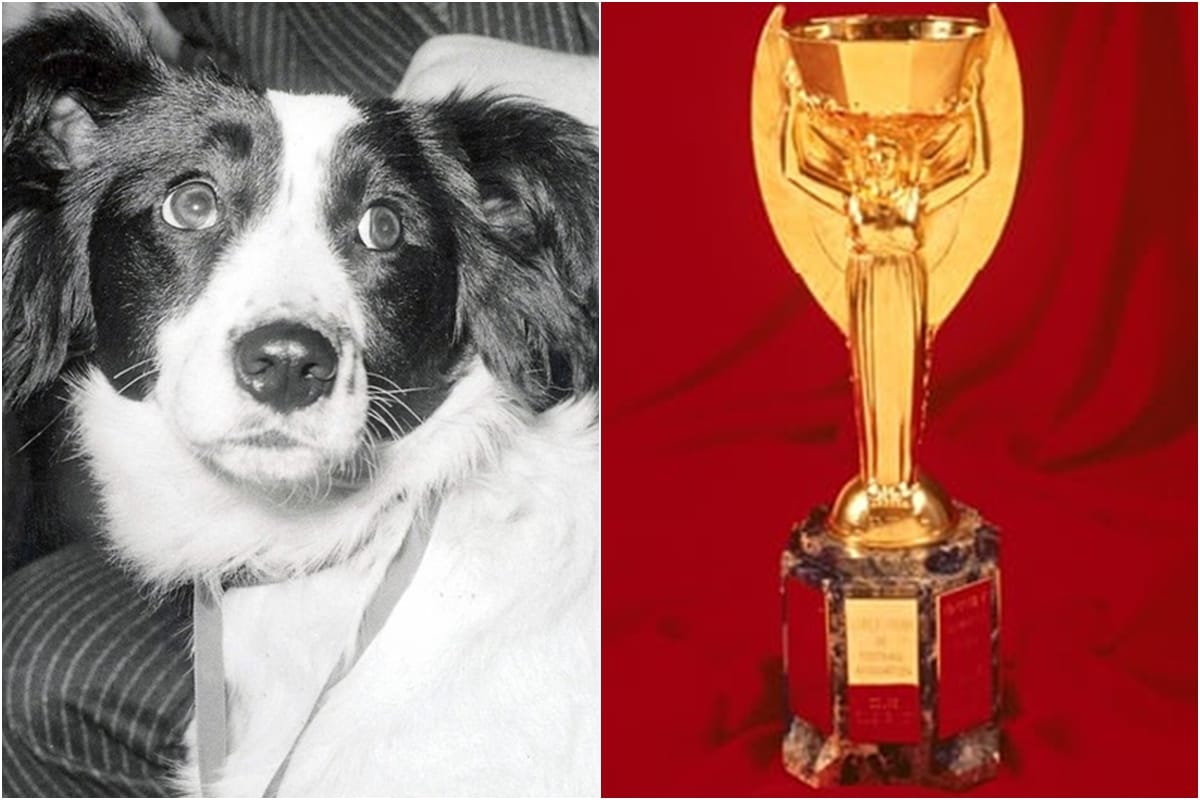 fifa world cup 1966 trophy found by a doggy in england