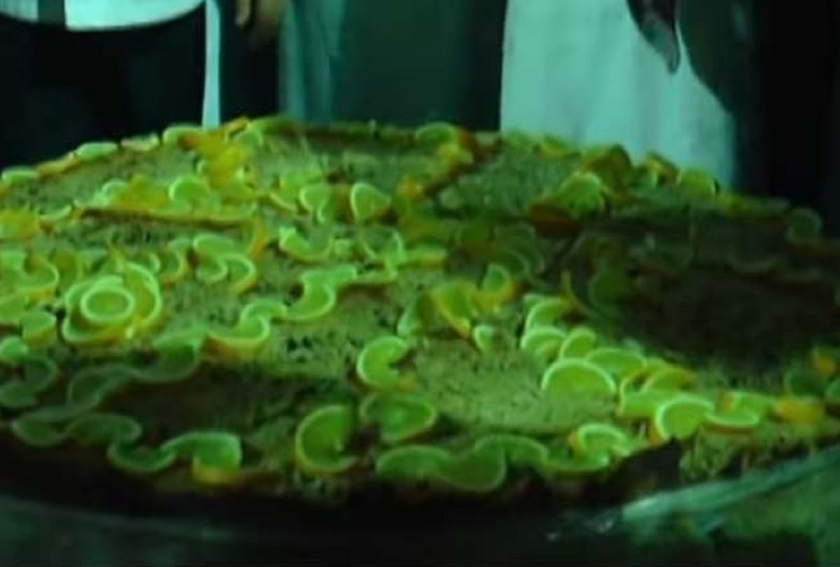 World Record: Fish patti of 296 kg made in Goa, the name entered in the Guinness Book