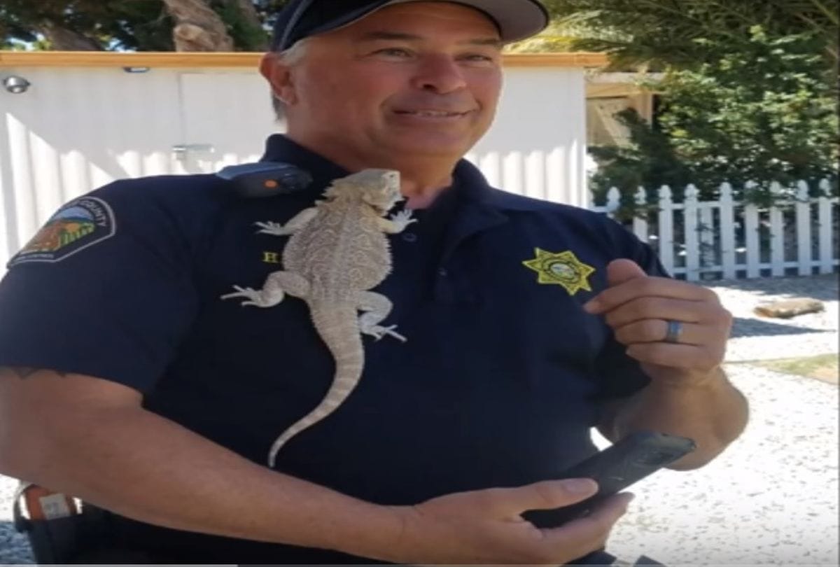 A Couple ordered bicycle online but find dragon in the parcel