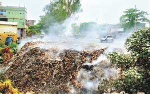 Municipality spoiling the city's climate