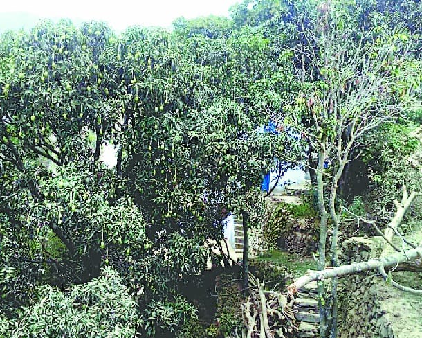 Perennial Road: Dust only dust near Singda