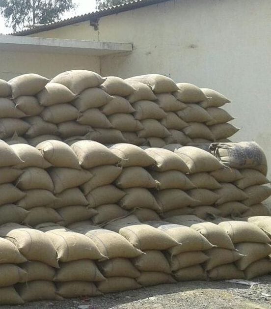 2000 wheat sacks are wet in the rain in azamgarh 