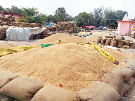 Tirpal scam in Punjab Purchase done for 107 crores, CM sought report