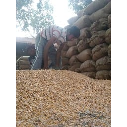 buying of graze is loosing for farmers 