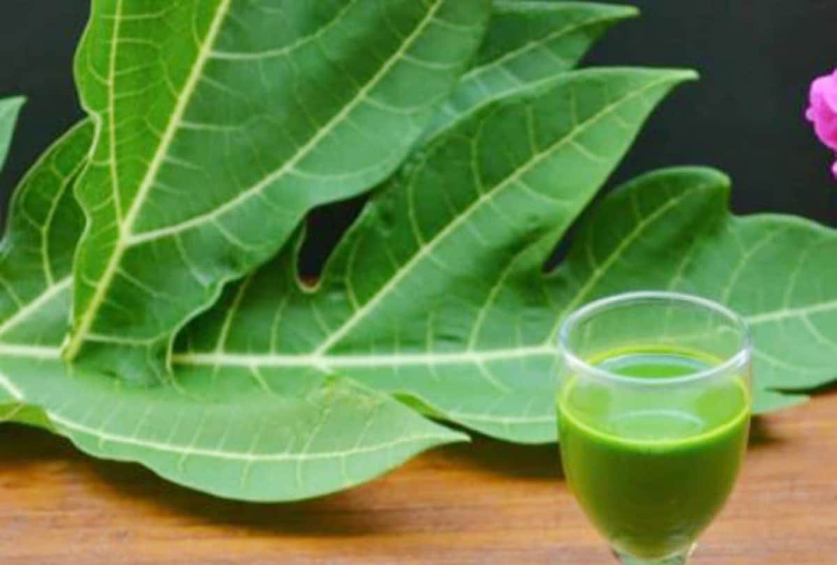 chikungunya home remedy: Joint Pain After Chikungunya this magical home remedy can help you