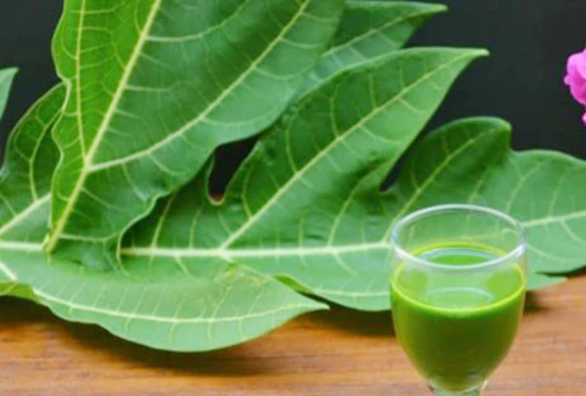symptoms and home treatment of chikungunya