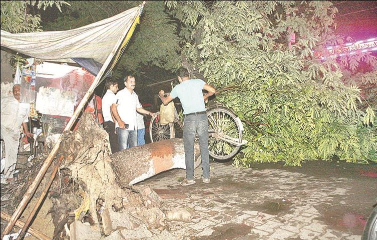 Tornado and rain caused trees, the city's electricity halted