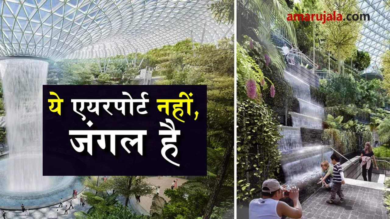 प्रतीकात्मक तस्वीर