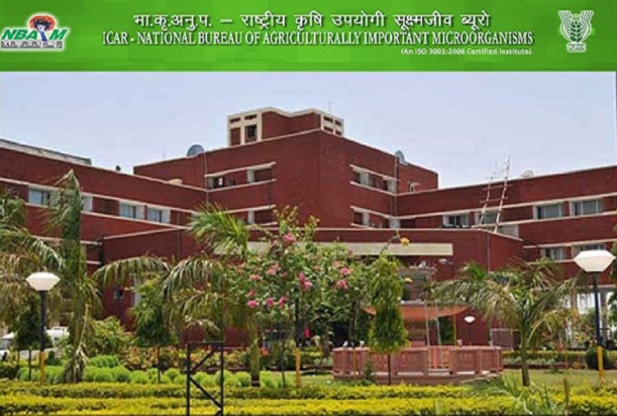 NBAIM Recruitment 2018 for 22 Senior Research Fellow ,Young Professional I and II posts 