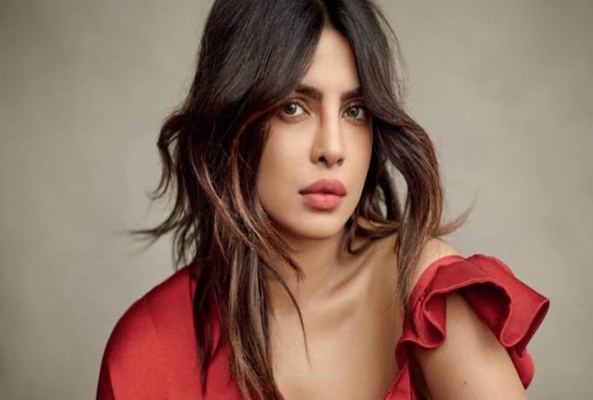 Priyanka Chopra career in hollywood cinema