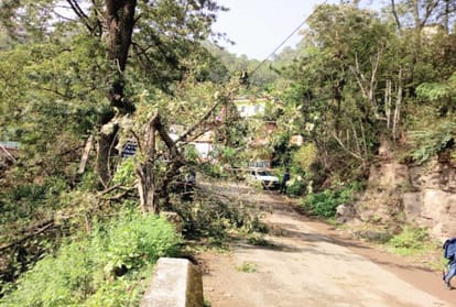manali leh road and shimla kalka railway track Blocked due to rainfall