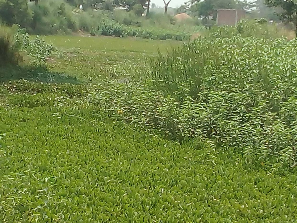 manorma and ramrekha river lost existence