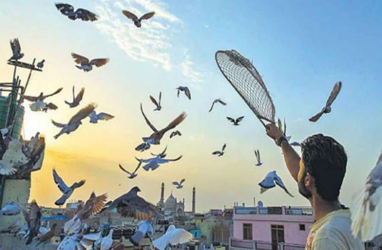 Eight youth of Aurangabad were imprisoned in Malaysia