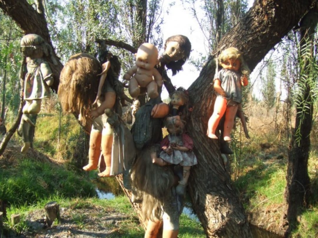  island in Maxico where you find thousands of creepy dolls