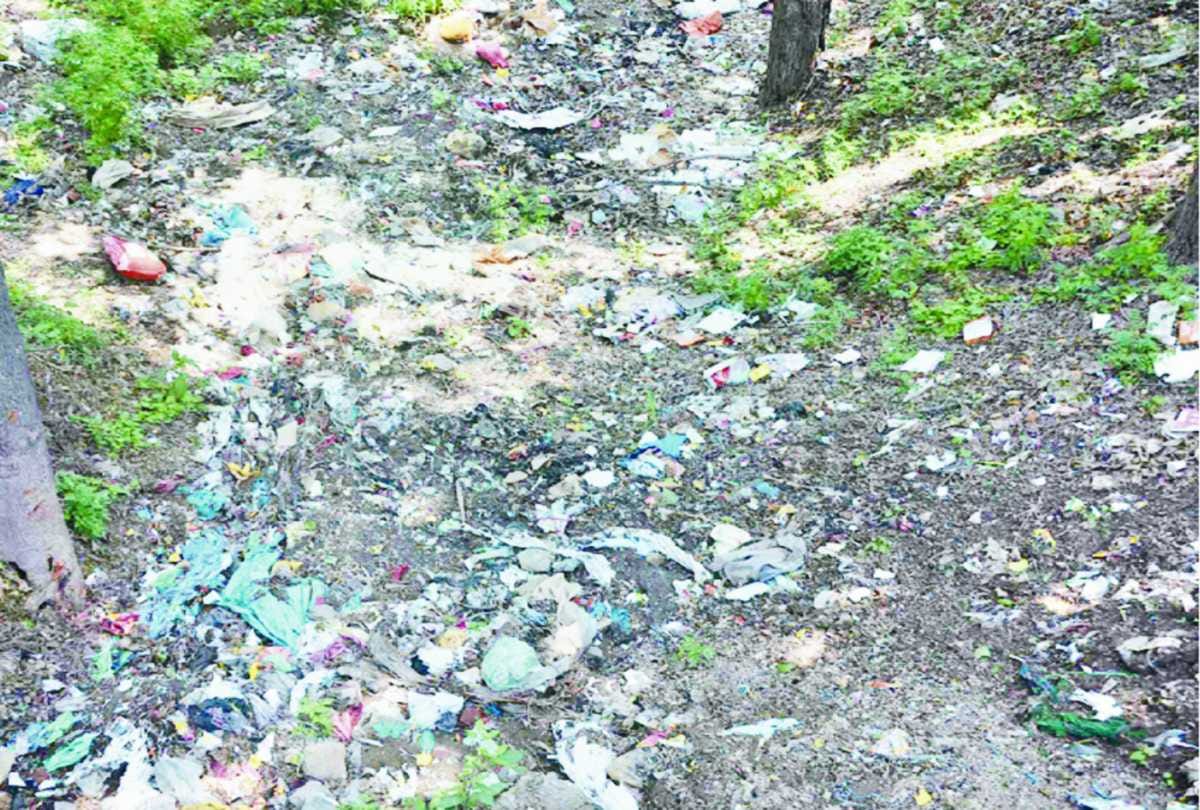 people worried from garbage demands Euthanasia at barotiwala himachal