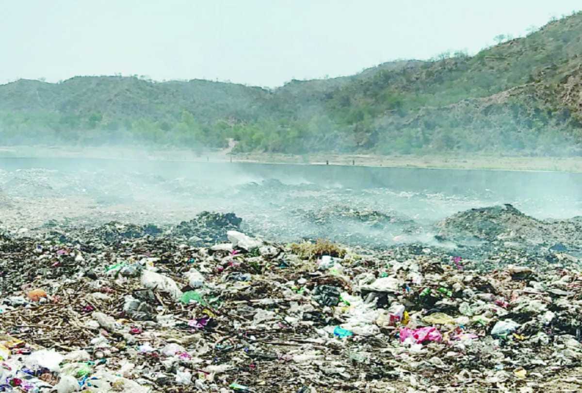 people worried from garbage demands Euthanasia at barotiwala himachal