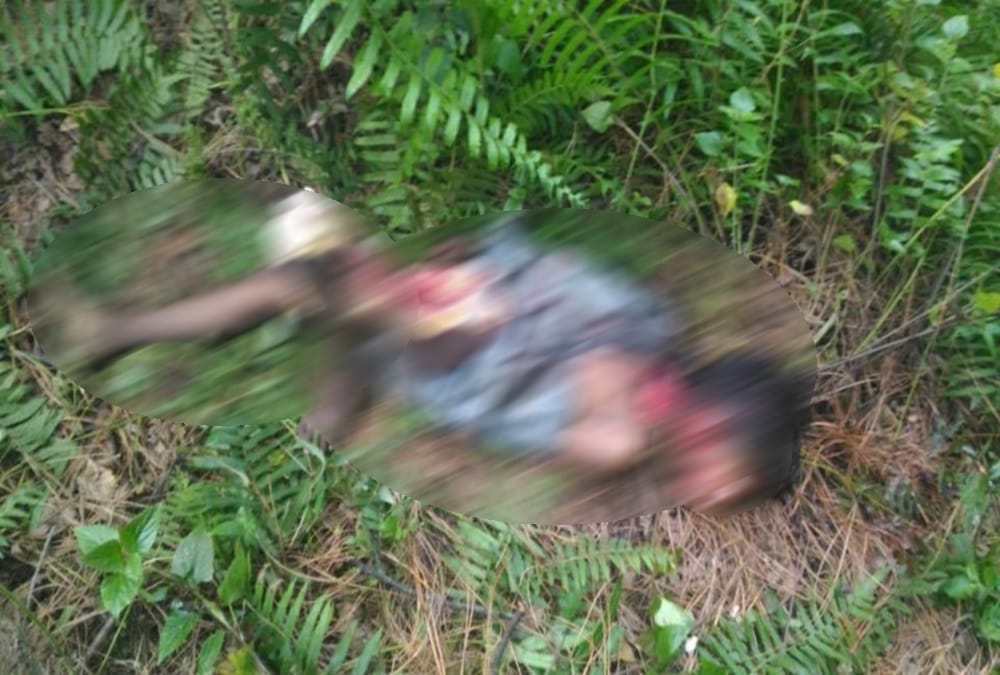 Leopard killed seven year old child in Almora forest 