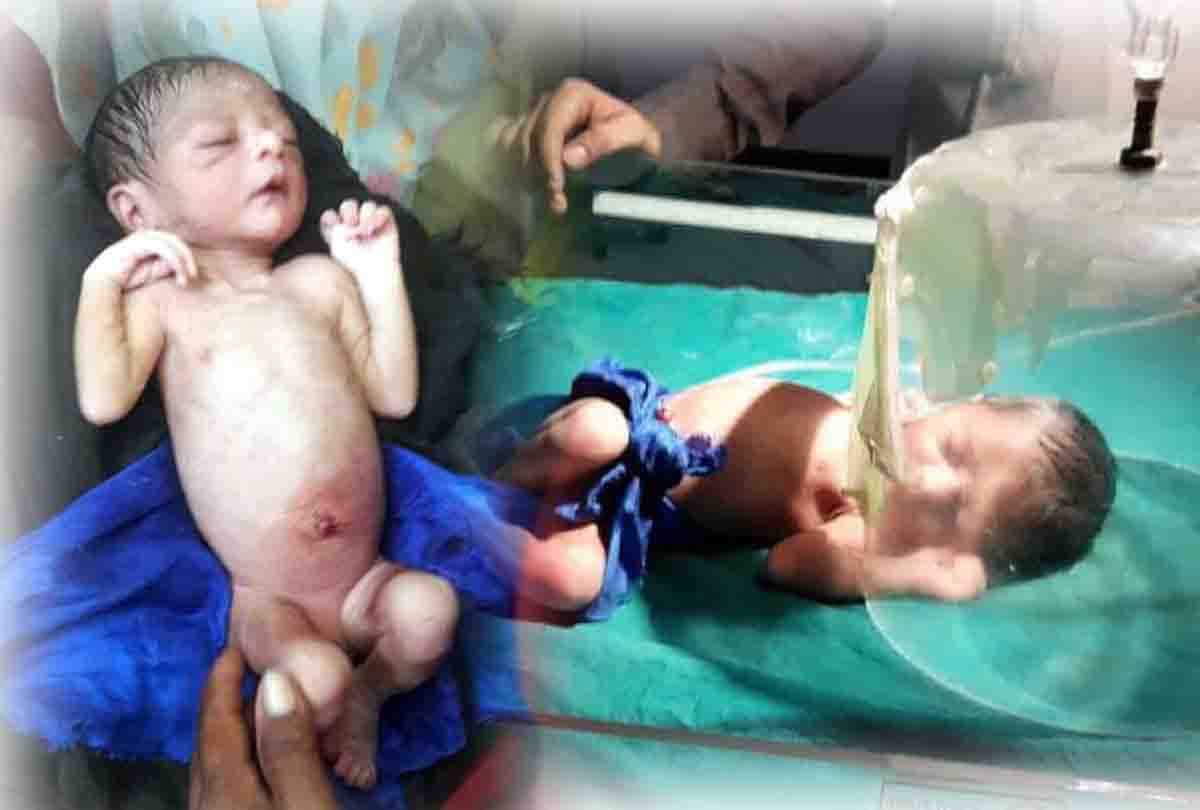 Newborn girl thrown in forest