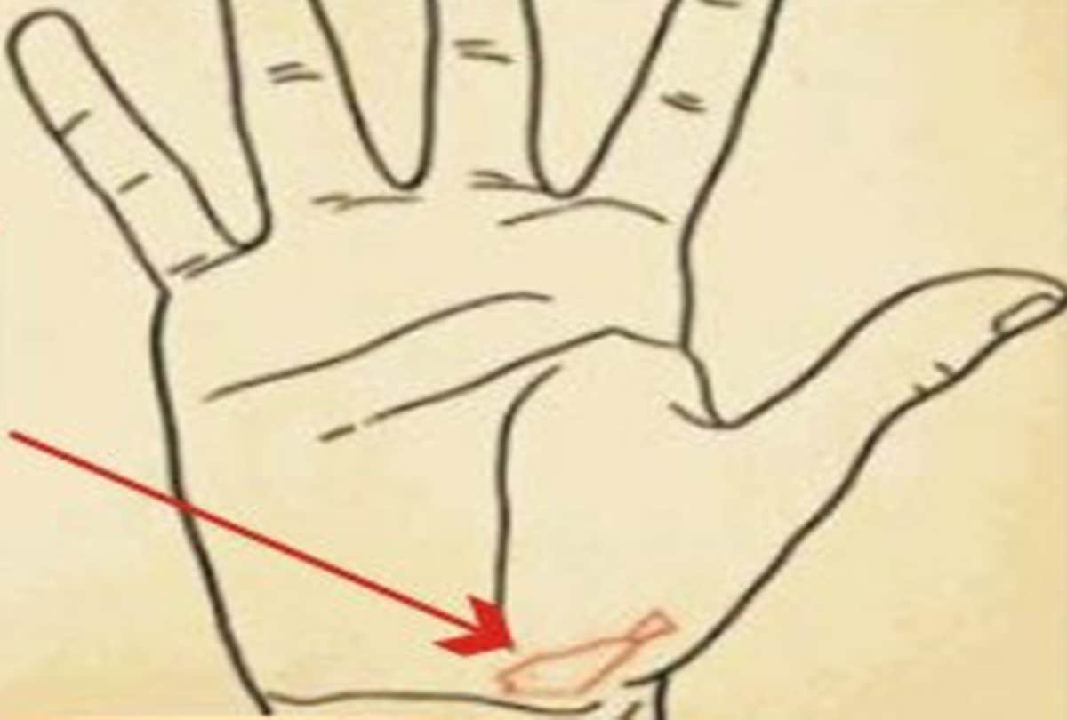 palmistry this type of mark in palm show how long life person