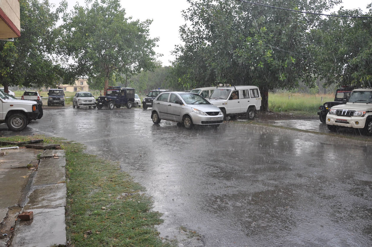 Jhajjhim rain provided relief from heat