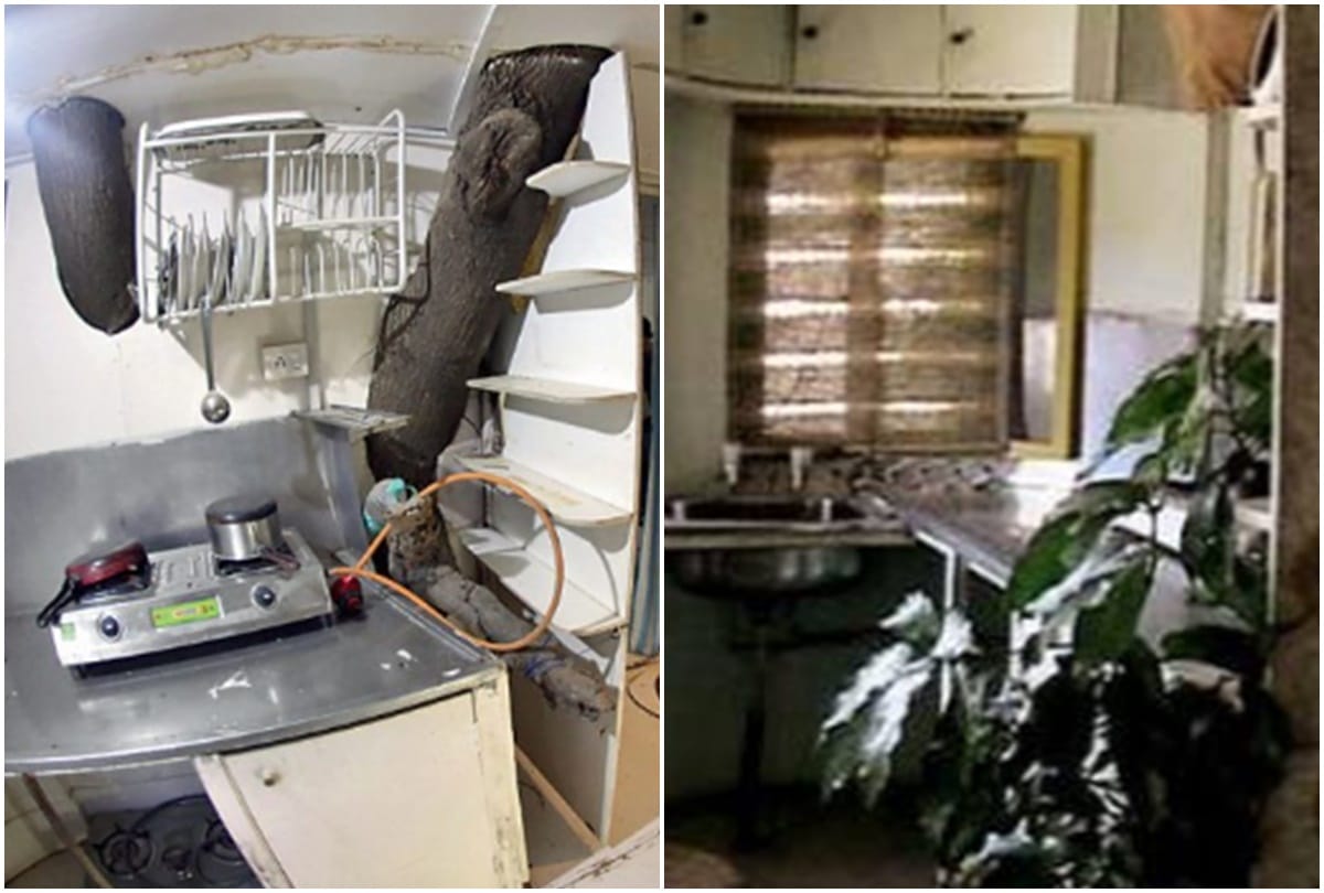 A mango tree is the abode of an IIT graduate for past 18 years