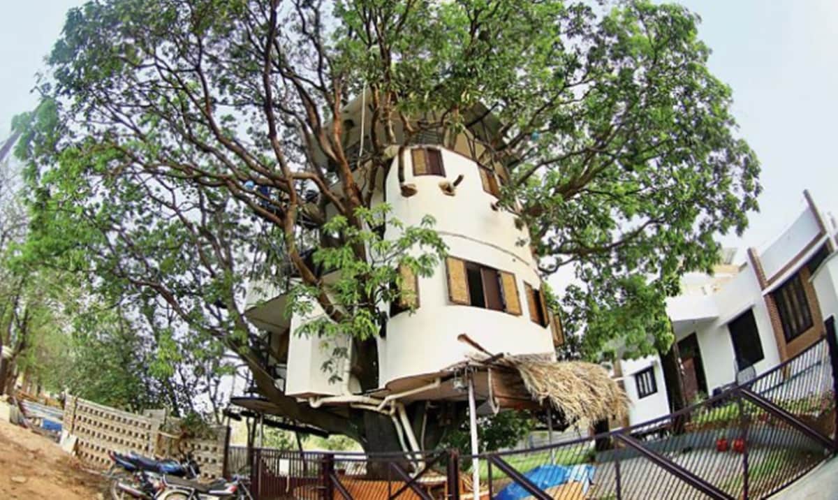 A mango tree is the abode of an IIT graduate for past 18 years