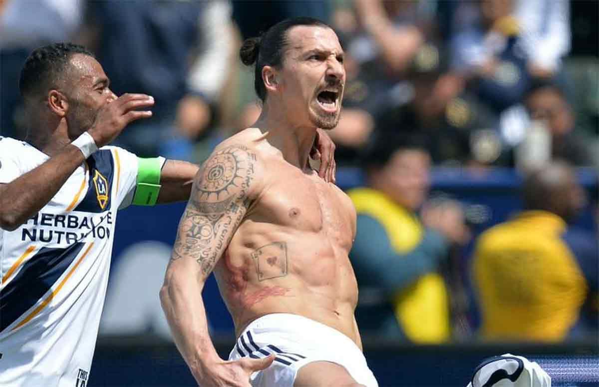 zlatan ibrahimovic won mls newcomer of the year tittle