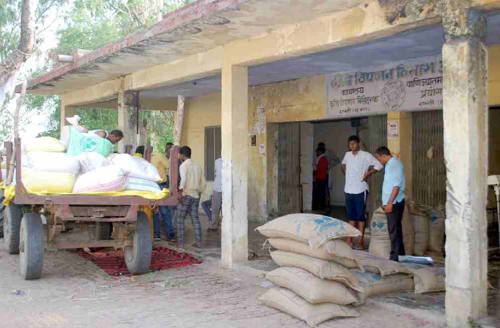 52 thousand quintals of wheat more