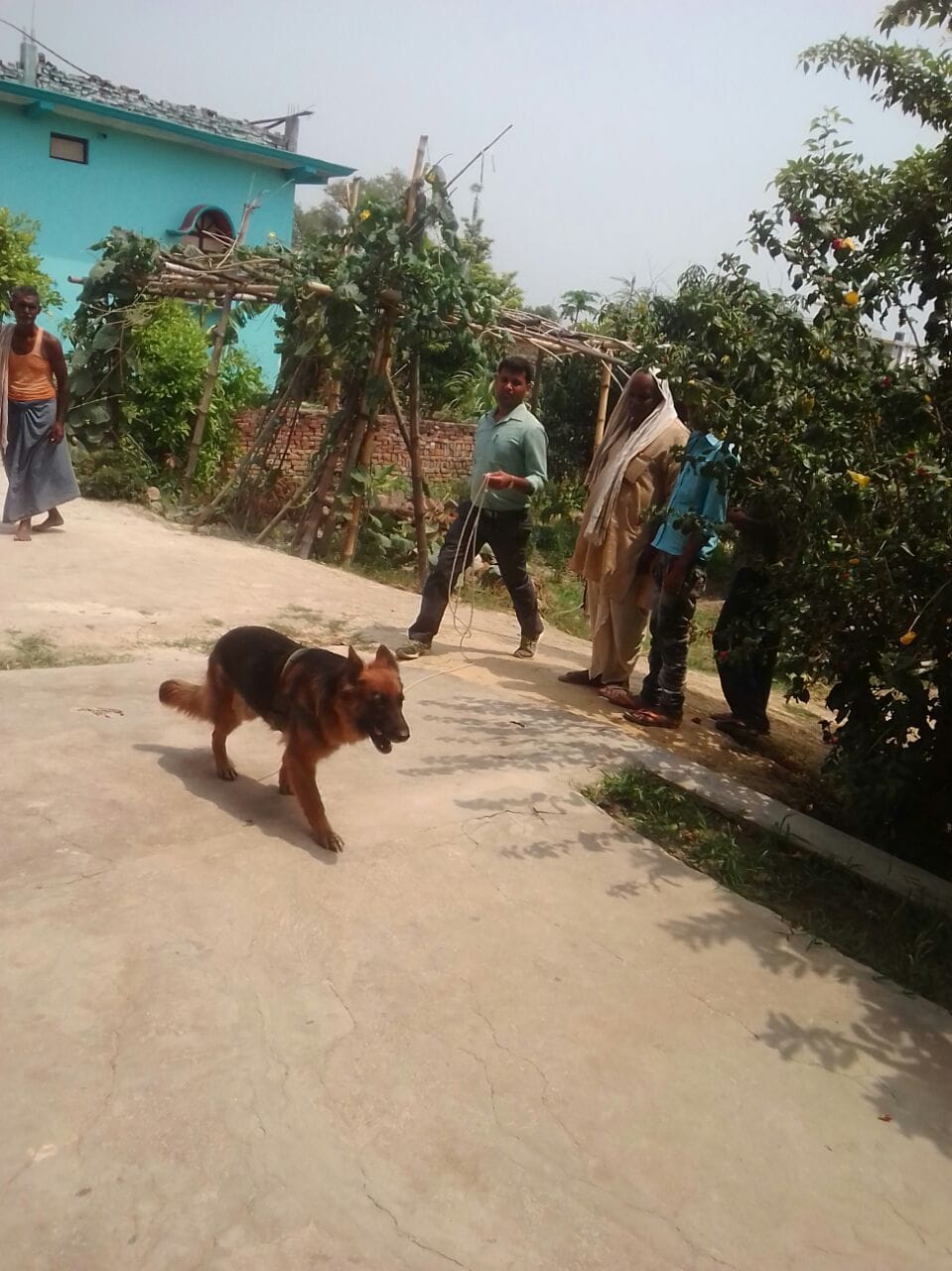 Dog squads, forensic team to investigate theft