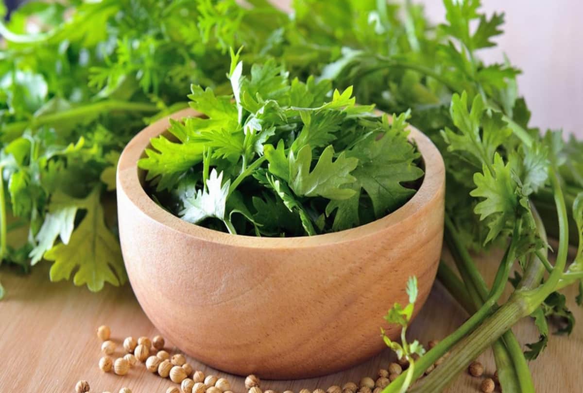 Diwali Special tips to detoxify your body after Diwali eating spree