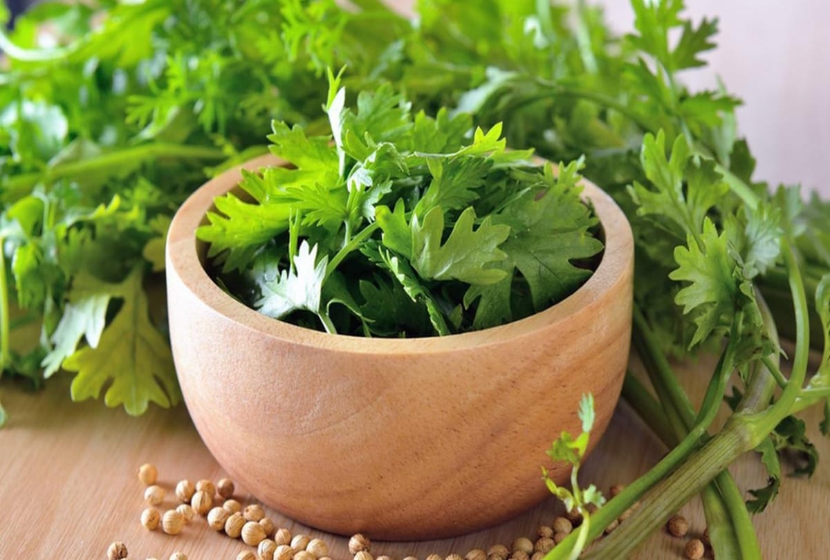 Foods that can flush out your body toxins