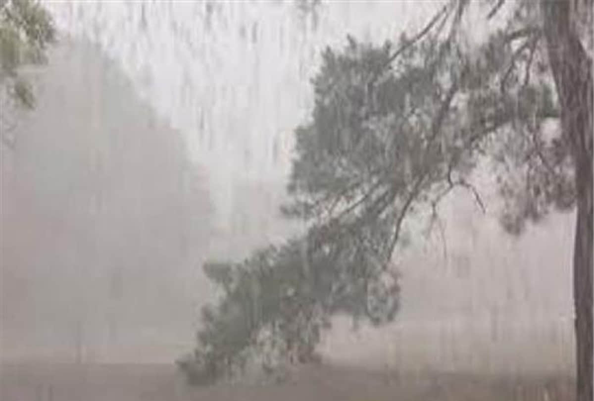 Five people including three women died due to rain and hot wind
