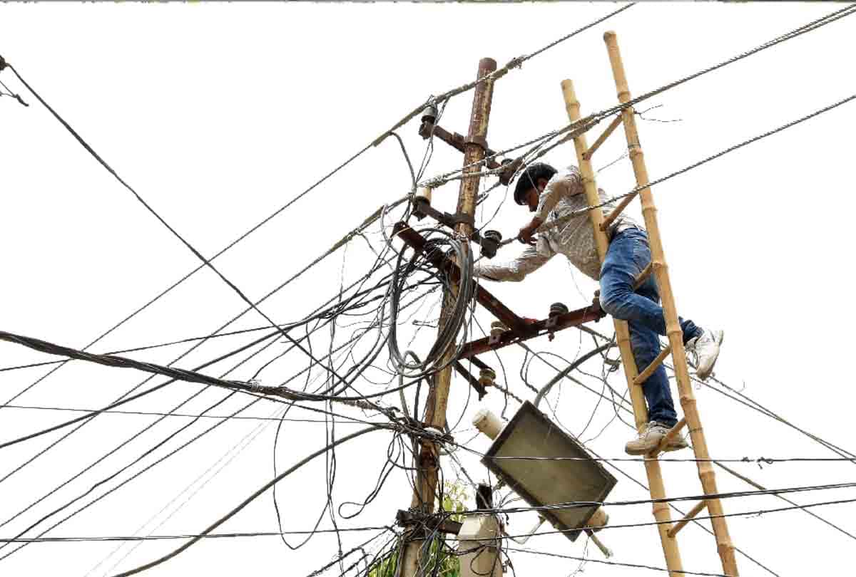 More than one hundred fifty trees fell due to storm