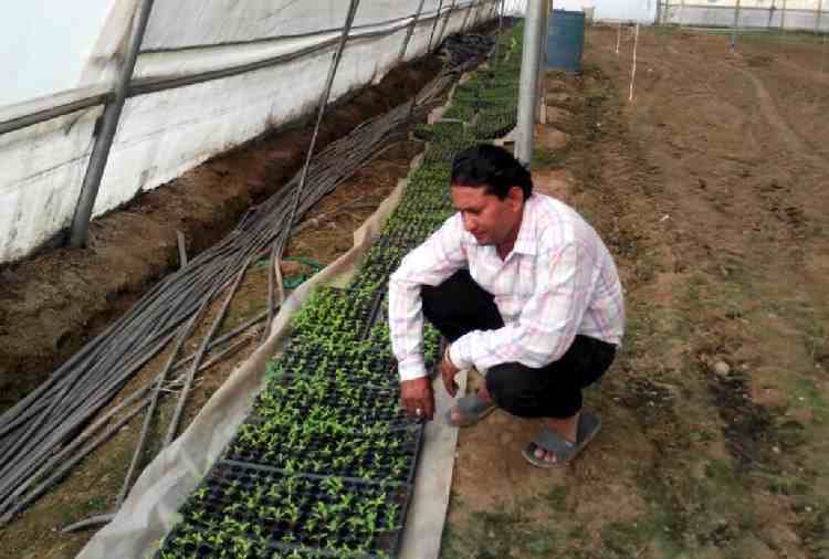 invest money in organic farming to earn billions